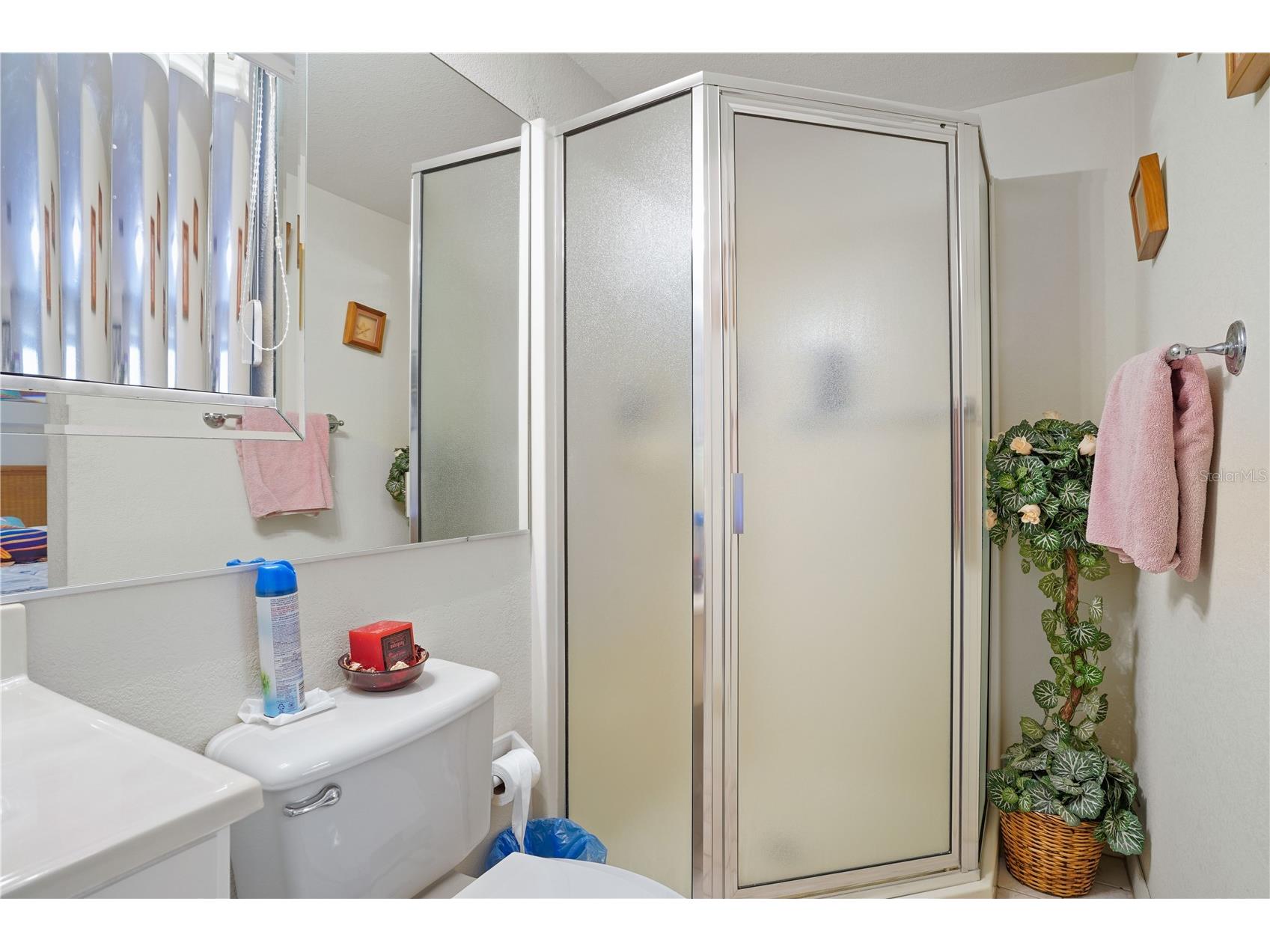 10745 SE 188th Court Ocklawaha FL 32179 O6382010 image33