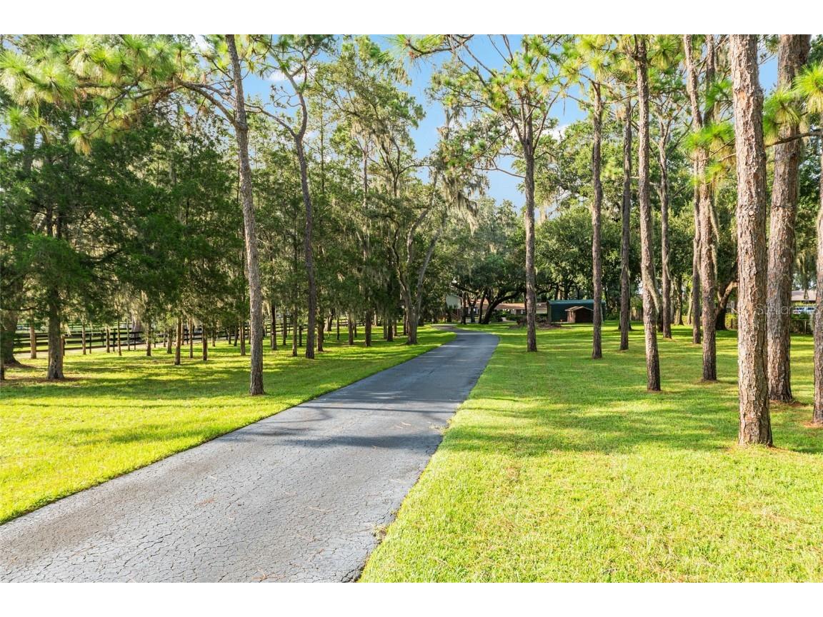 10745 SE Sunset Harbor Road Summerfield FL 34491 - LAKE WEIR OM707627 image9