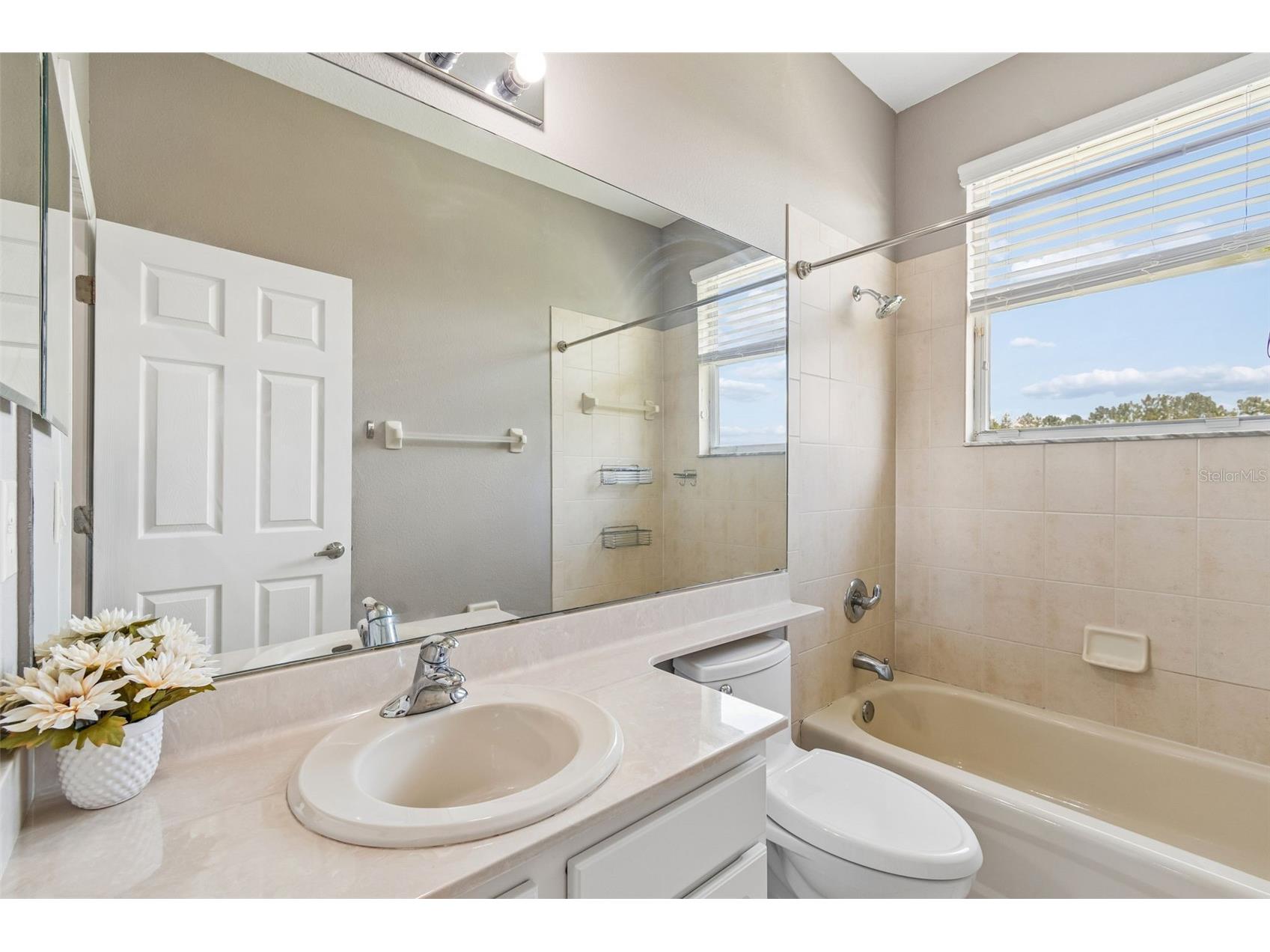 10746 Cory Lake Drive Tampa FL 33647 TB8523599 image39