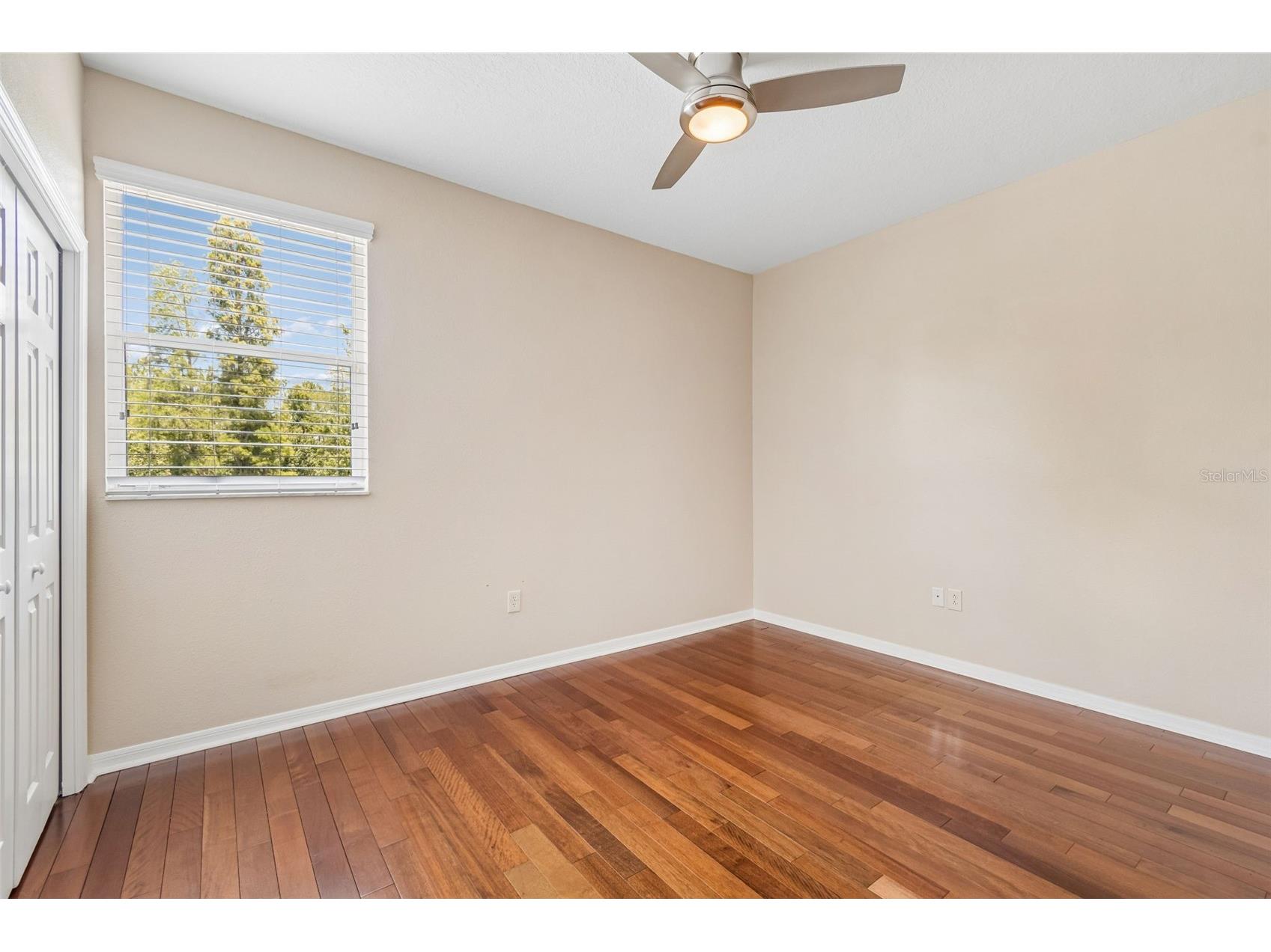 10746 Cory Lake Drive Tampa FL 33647 TB8523599 image40