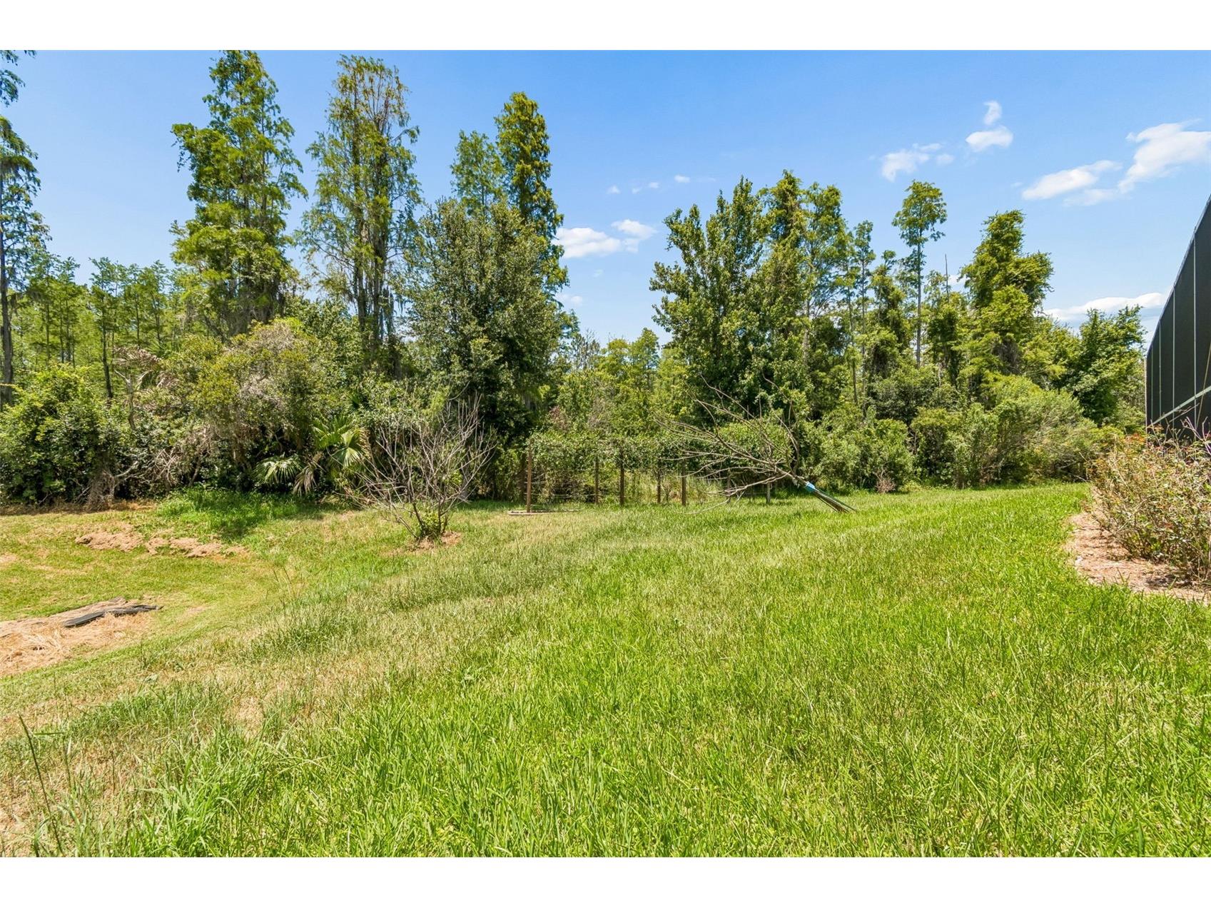 10746 Cory Lake Drive Tampa FL 33647 TB8523599 image61
