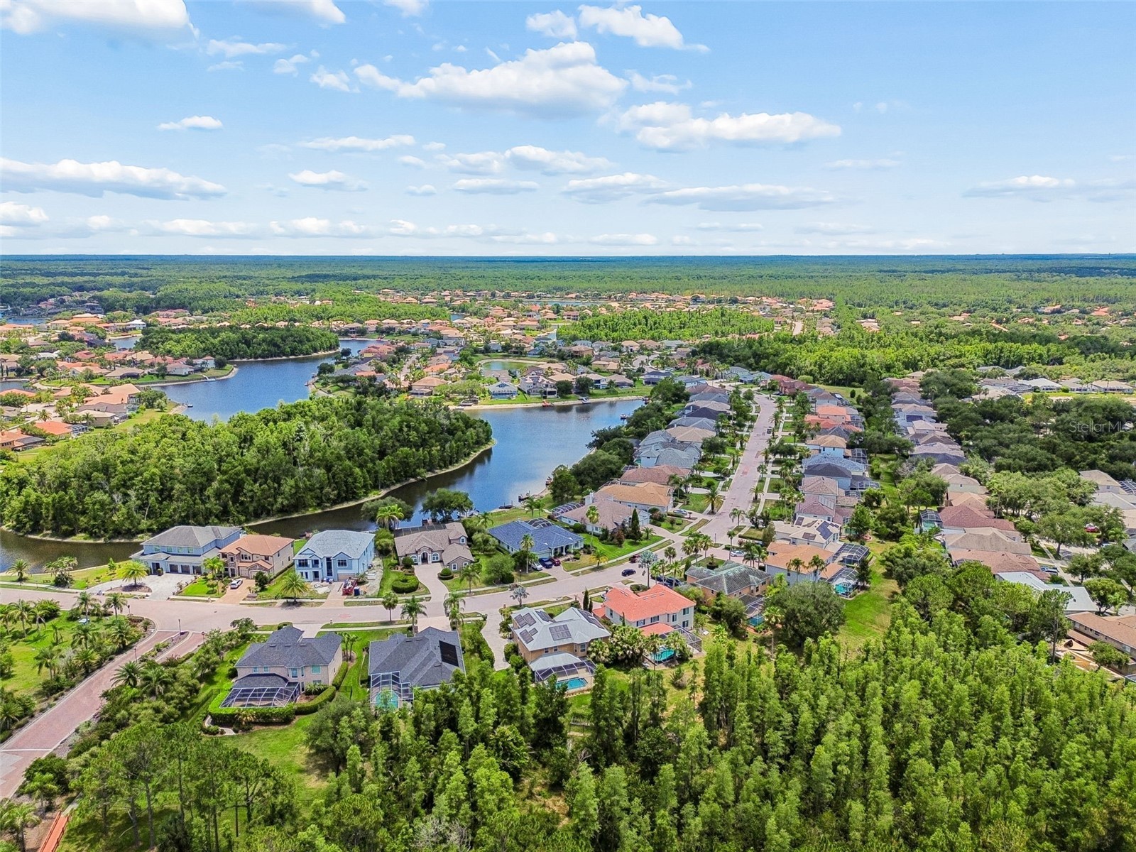 10746 Cory Lake Drive Tampa FL 33647 TB8523599 image67