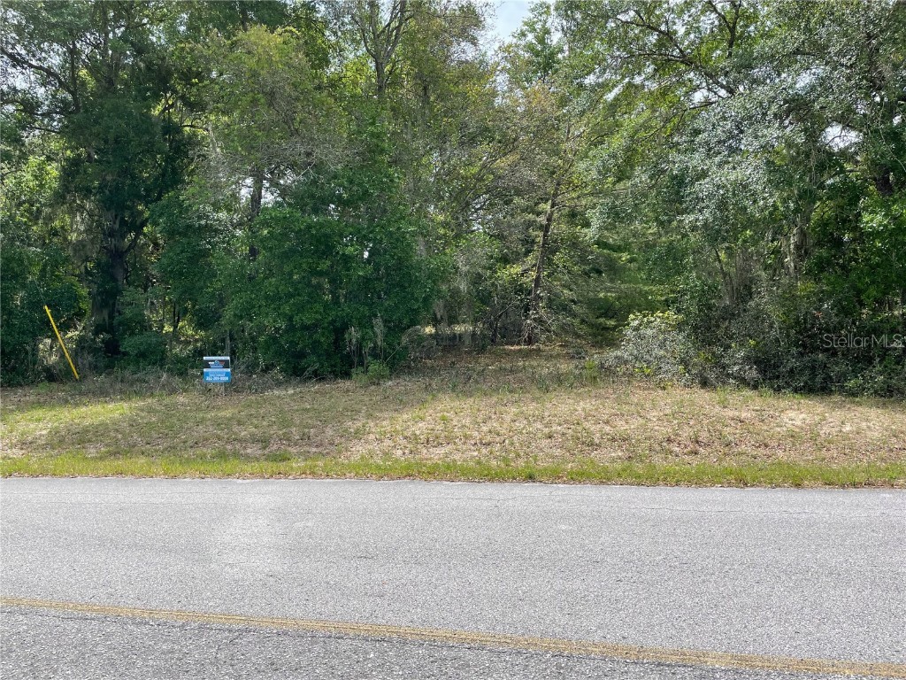 10748 SE 131st Place Ocklawaha FL 32179 OM677031 image1