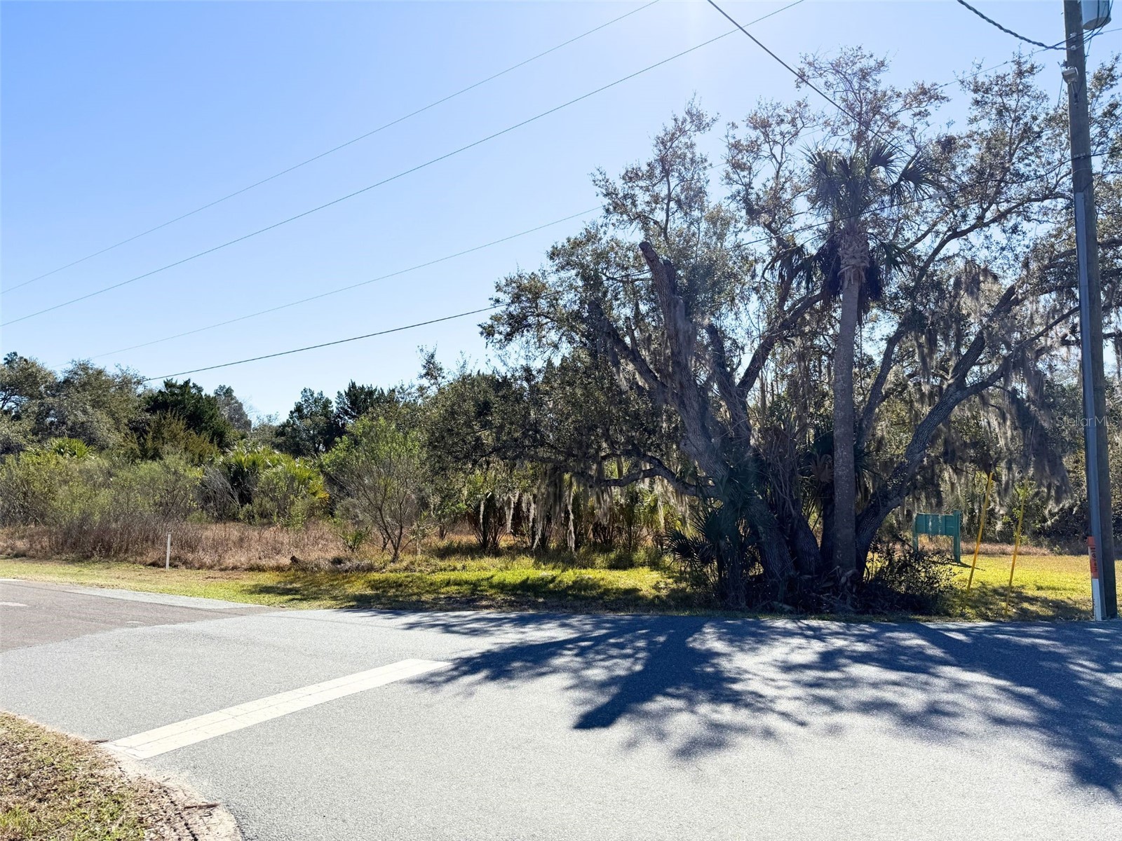 10748 W Pine Bark Lane Crystal River FL 34429 OM719473 image2