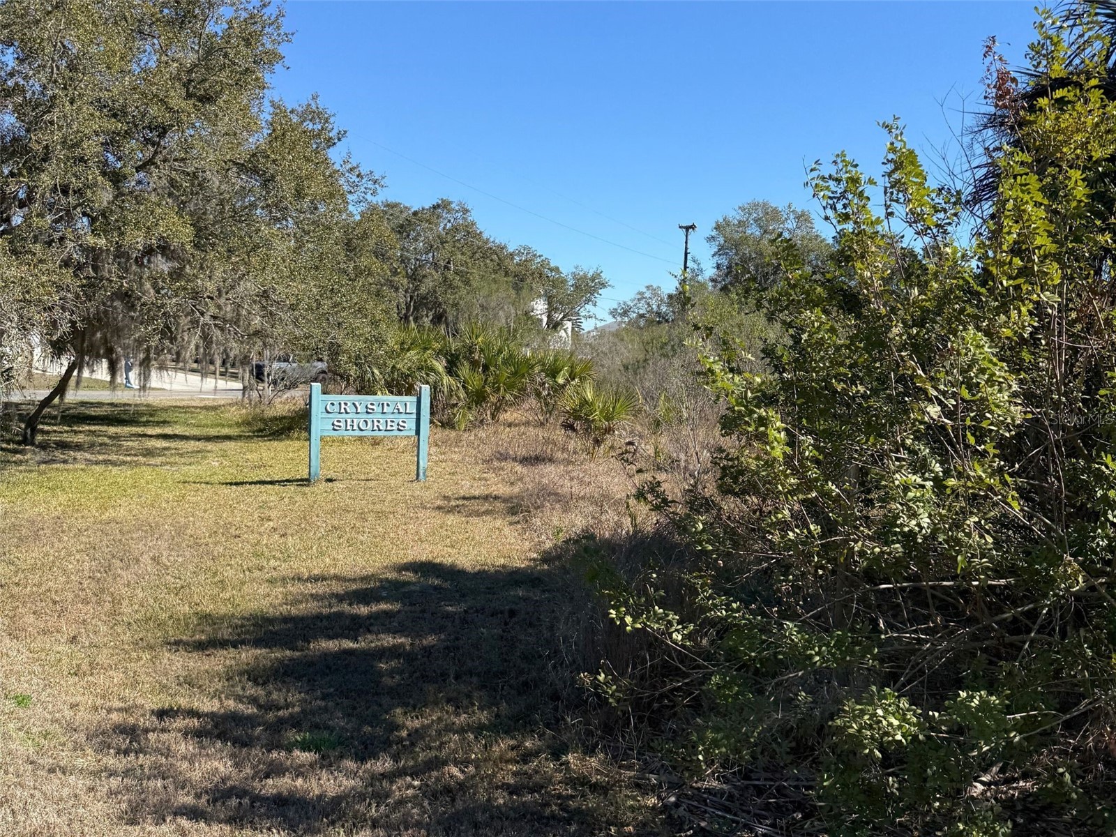 10748 W Pine Bark Lane Crystal River FL 34429 OM719473 image3
