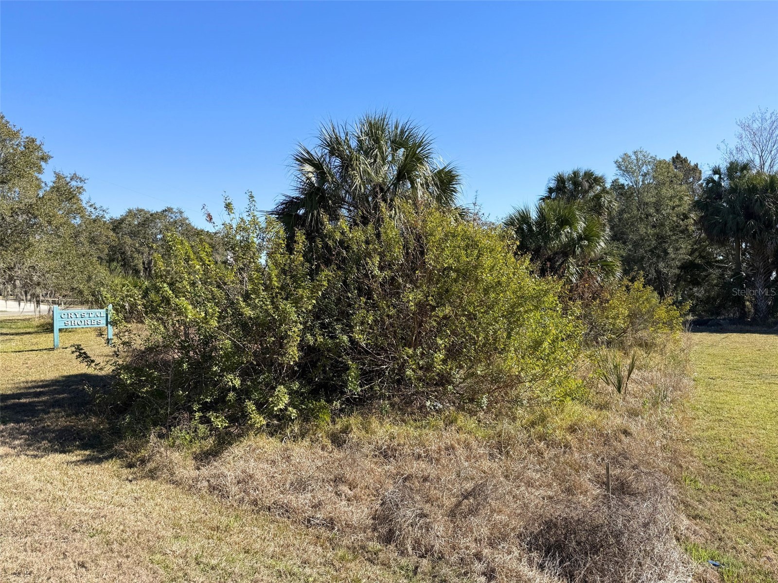 10748 W Pine Bark Lane Crystal River FL 34429 OM719473 image6
