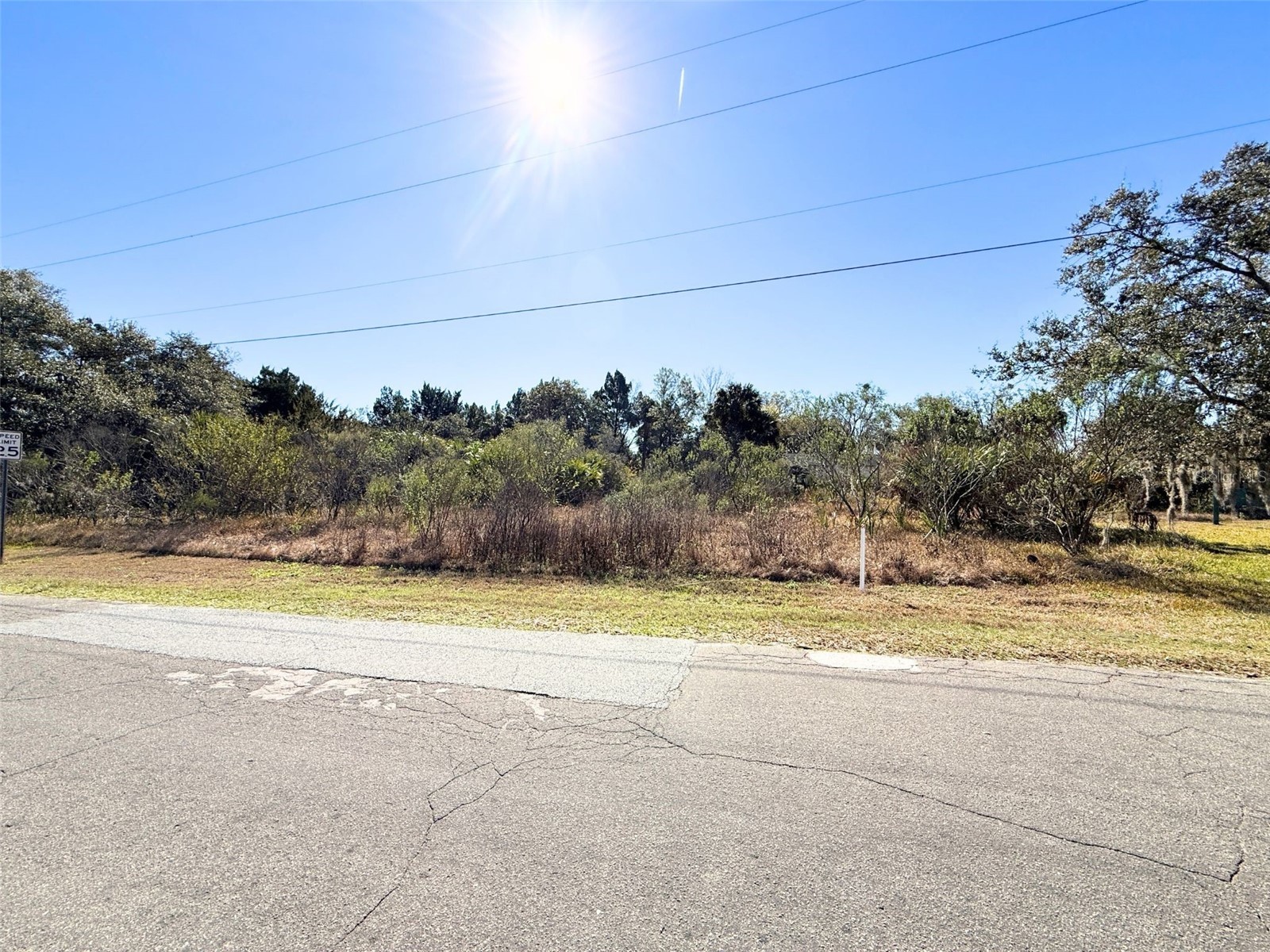 10748 W Pine Bark Lane Crystal River FL 34429 OM719473 image7