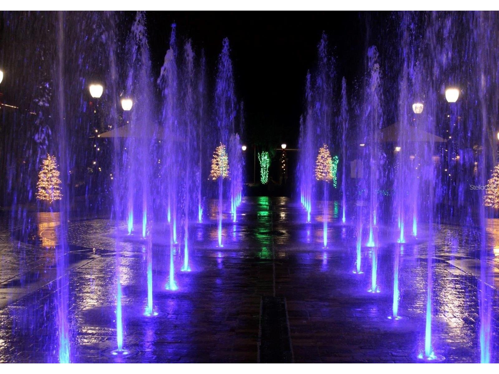 1075 Chase Drive Winter Garden FL 34787 O6386607 image60