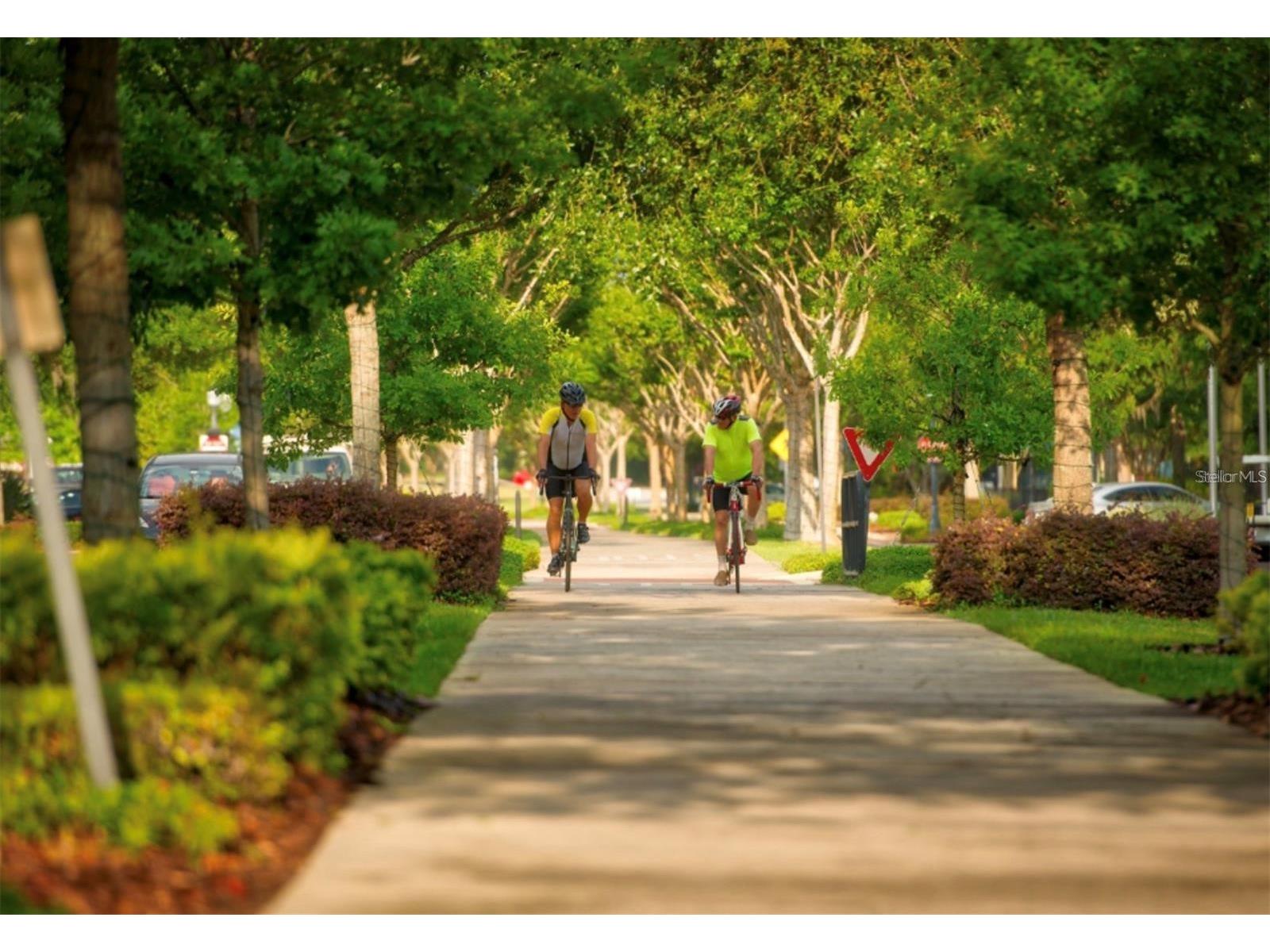 1075 Chase Drive Winter Garden FL 34787 O6386607 image61