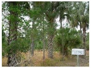 1075 E Osceola Road Geneva FL 32732 S5070207 image1