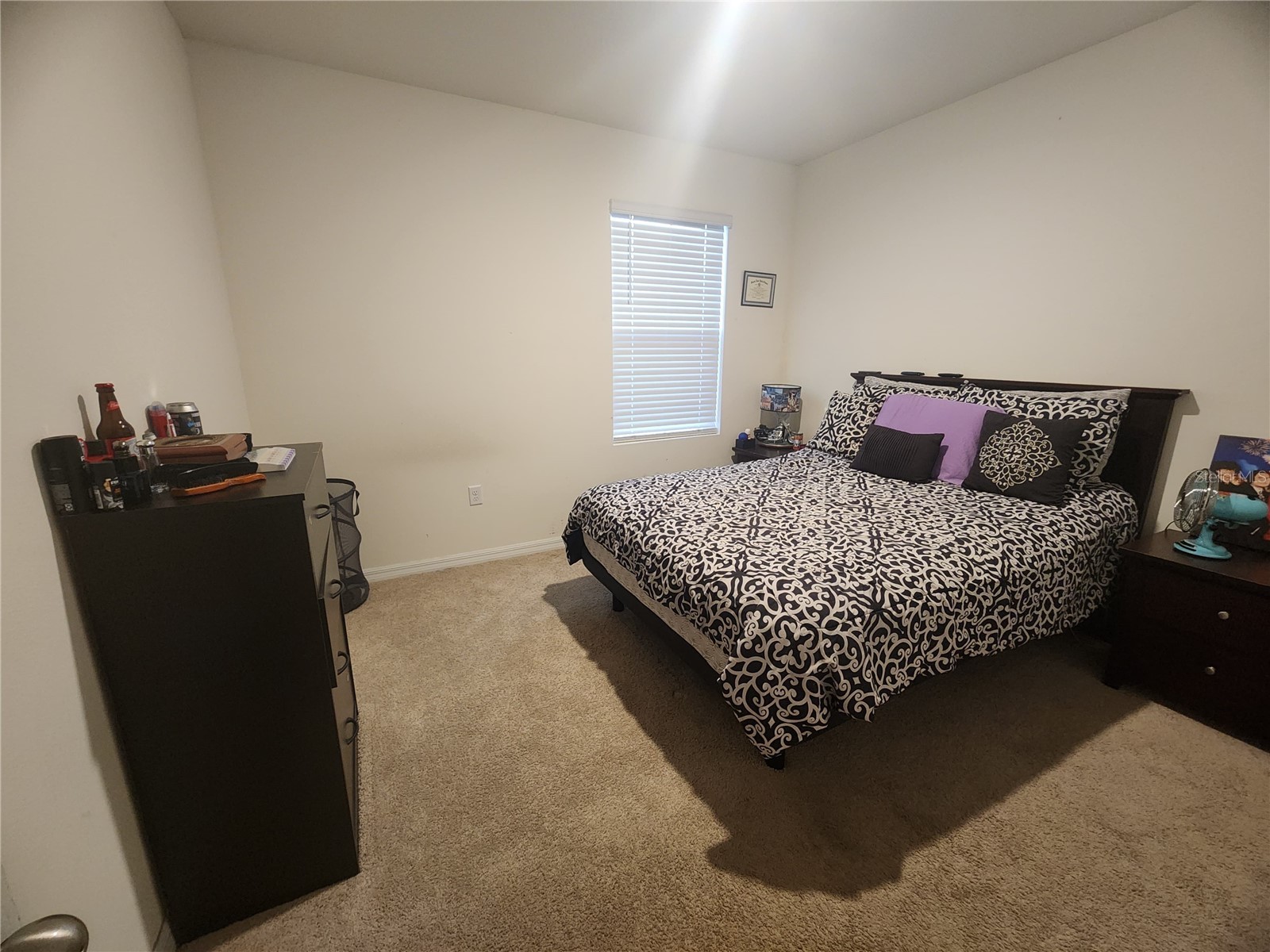 1075 Griffon Avenue Lake Alfred FL 33850 TB8473829 image8
