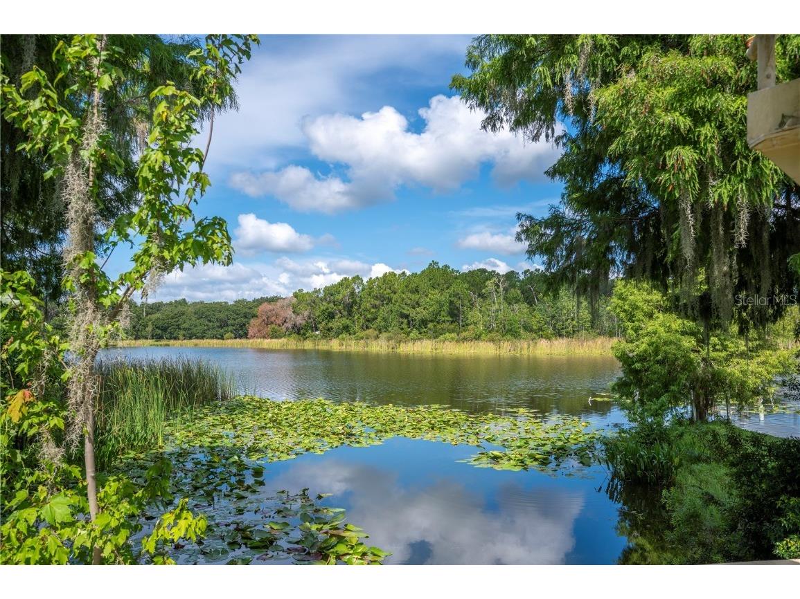 1075 Motorcoach Drive Polk City FL 33868 P4935926 image62