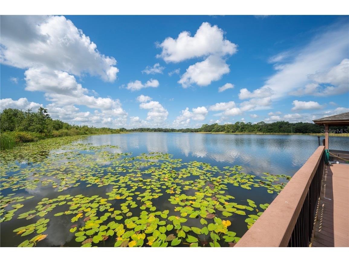 1075 Motorcoach Drive Polk City FL 33868 P4935926 image65