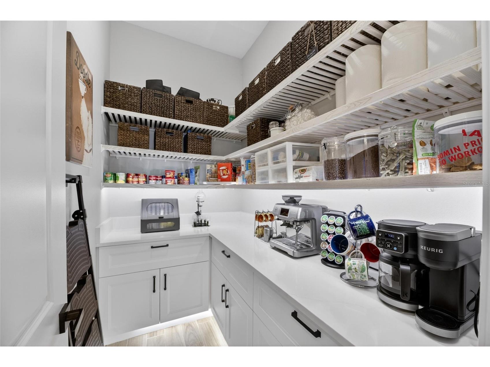 1075 Seagrape Drive Ruskin FL 33570 TB8503760 image25