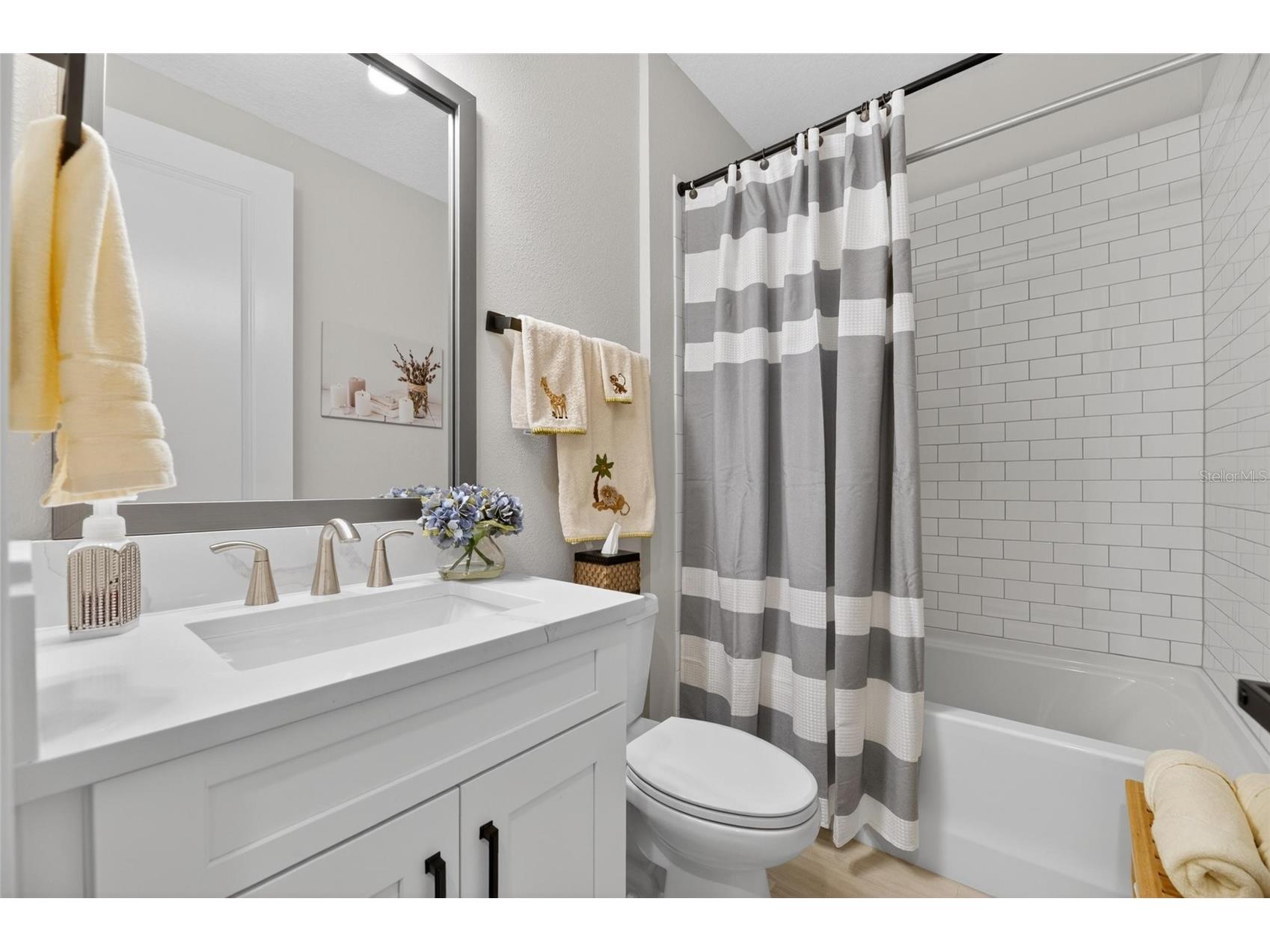 1075 Seagrape Drive Ruskin FL 33570 TB8503760 image45