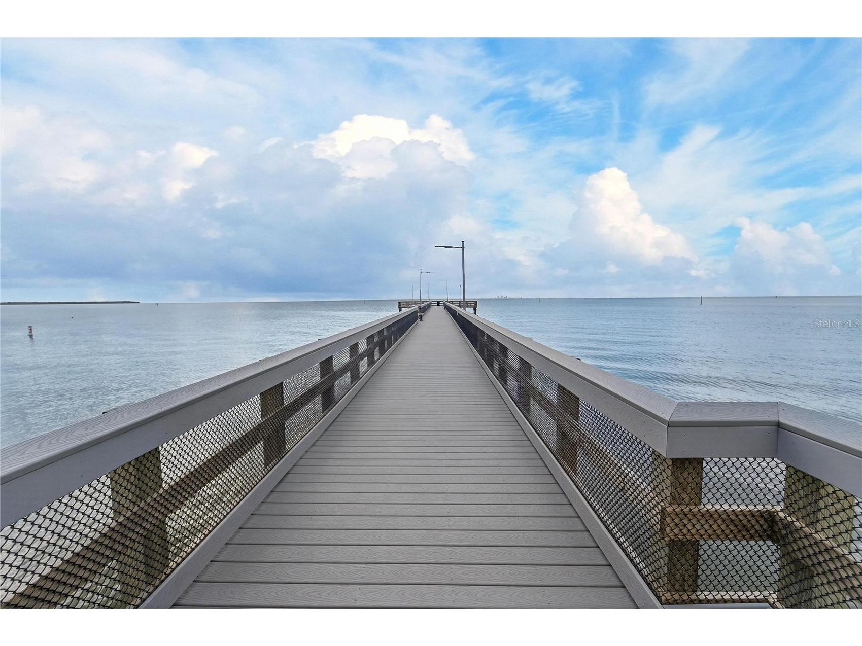 1075 Seagrape Drive Ruskin FL 33570 TB8503760 image98