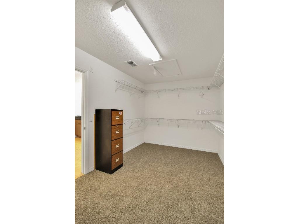 1075 Wax Myrtle Avenue Minneola FL 34715 O6341818 image21