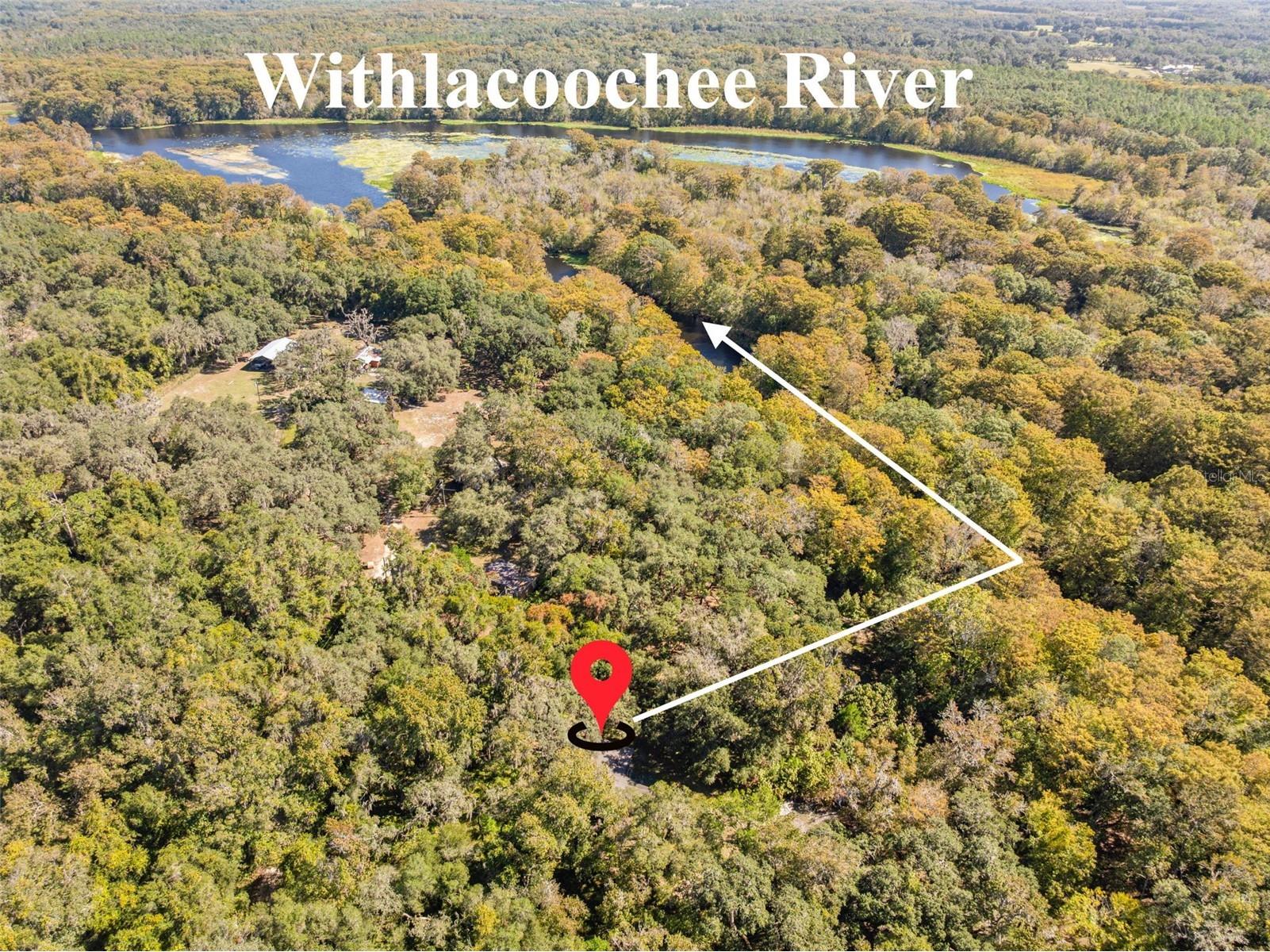 10750 E Sybil Court Floral City FL 34436 TB8440903 image4