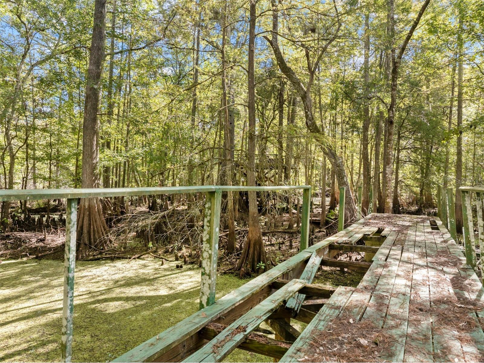 10750 E Sybil Court Floral City FL 34436 TB8440903 image46