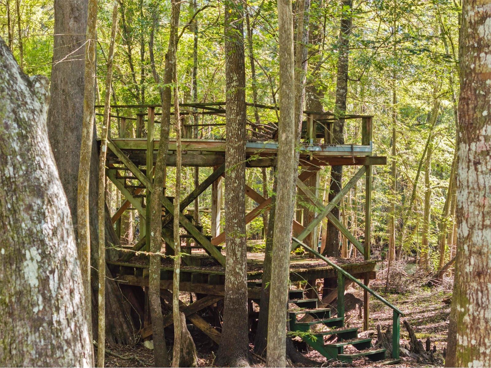 10750 E Sybil Court Floral City FL 34436 TB8440903 image49