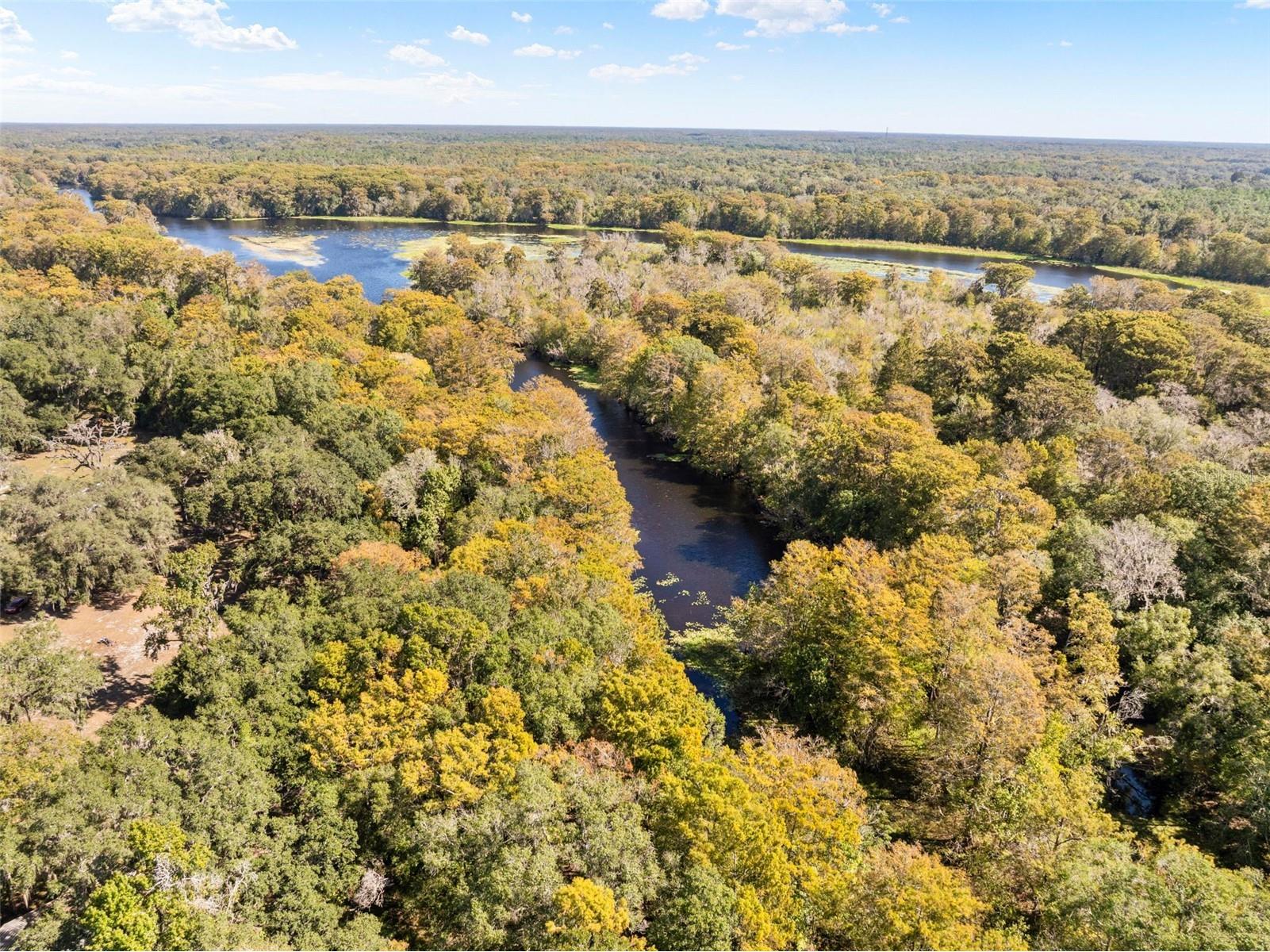 10750 E Sybil Court Floral City FL 34436 TB8440903 image51