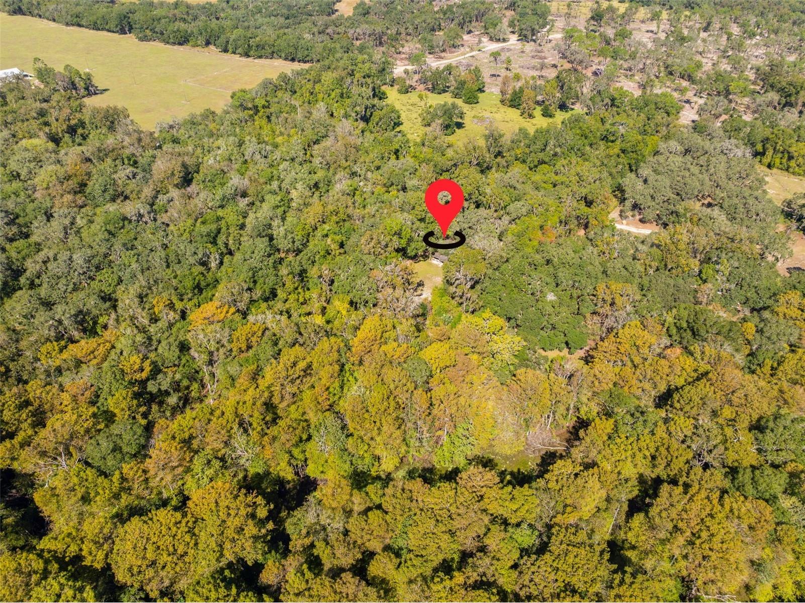 10750 E Sybil Court Floral City FL 34436 TB8440903 image54