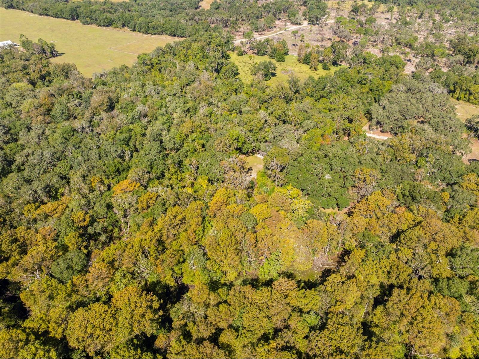 10750 E Sybil Court Floral City FL 34436 TB8440903 image55