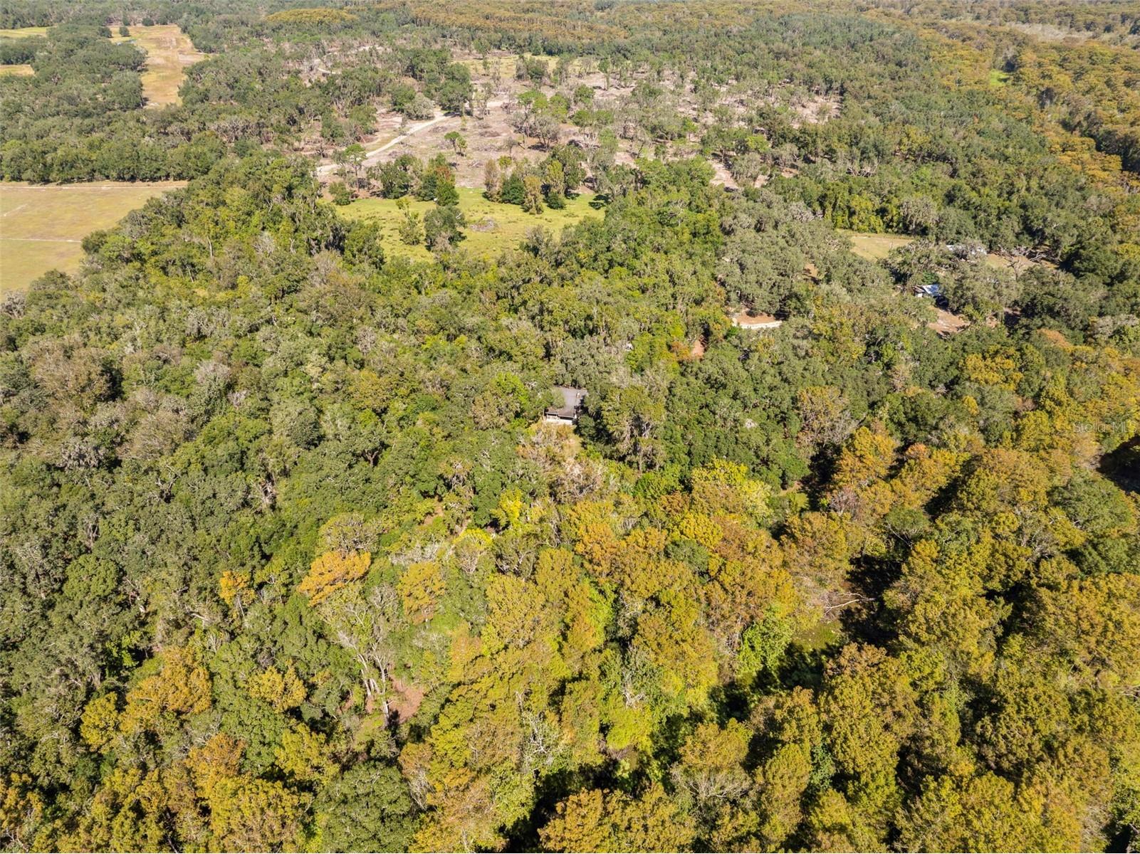 10750 E Sybil Court Floral City FL 34436 TB8440903 image58