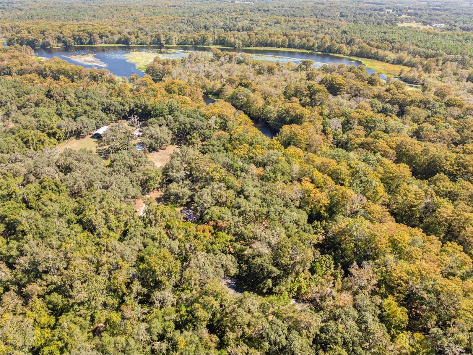 10750 E Sybil Court Floral City FL 34436 TB8440903 image59