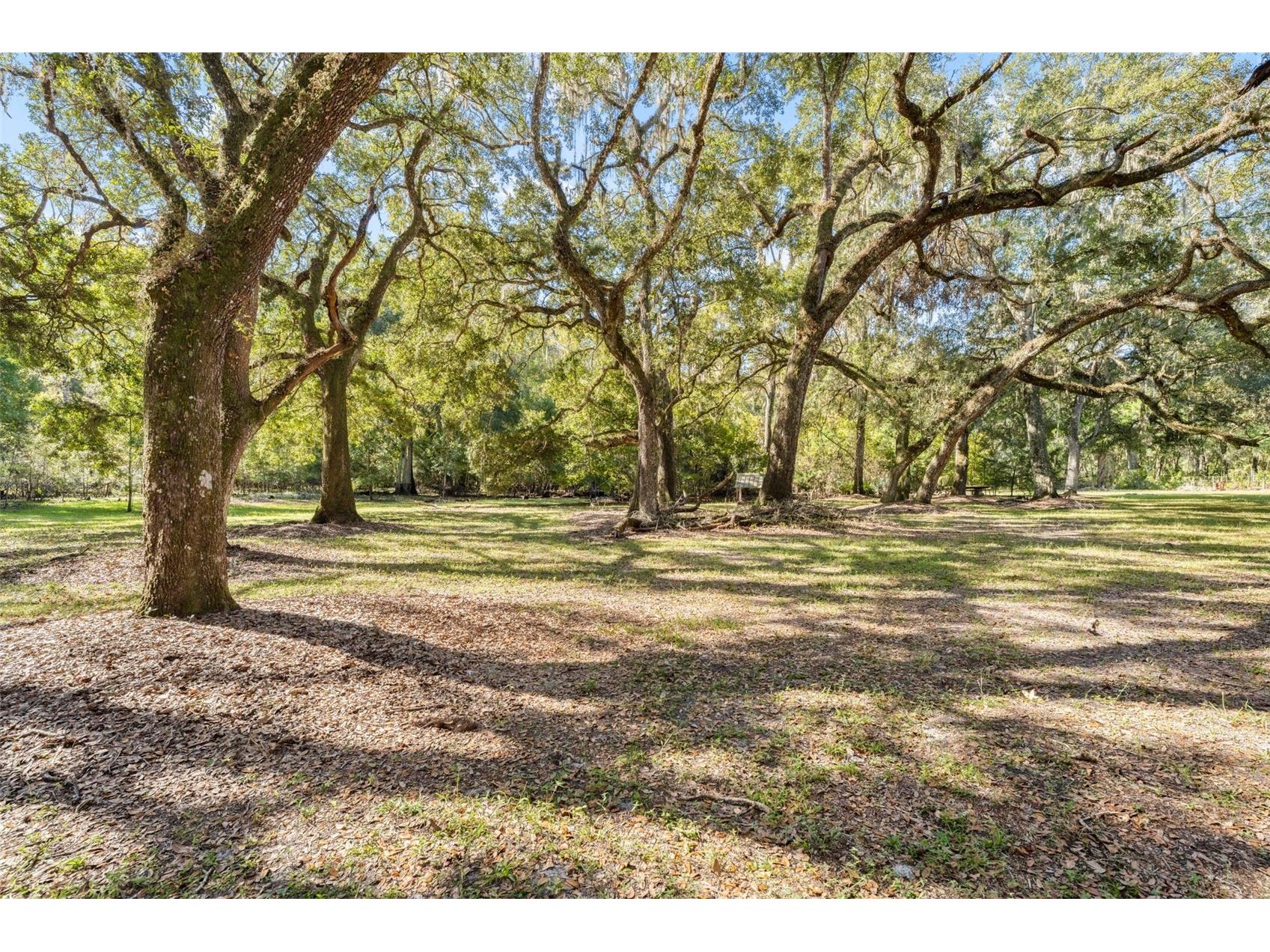 10750 E Sybil Court Floral City FL 34436 TB8440903 image65