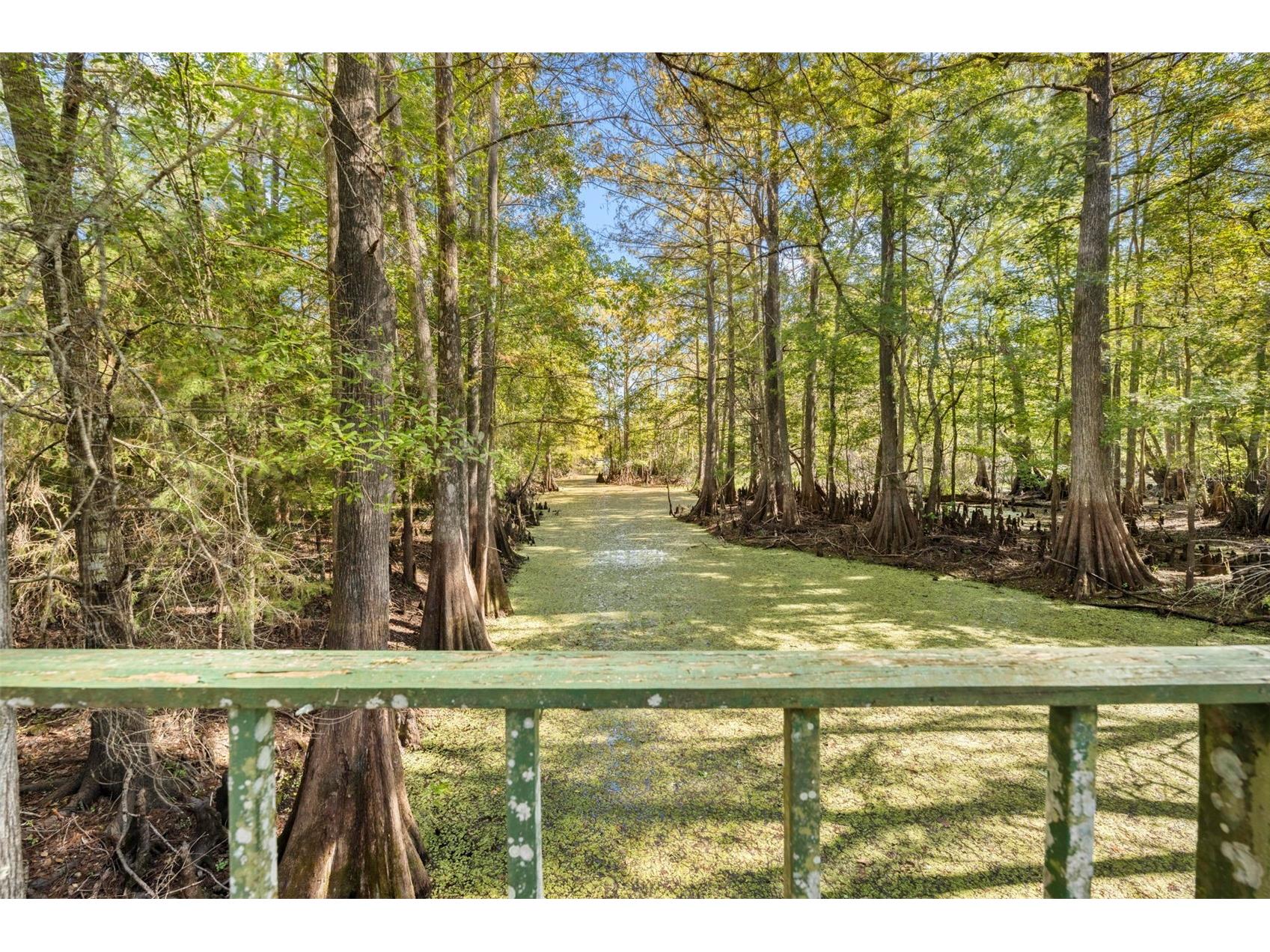 10750 E Sybil Court Floral City FL 34436 TB8440903 image75