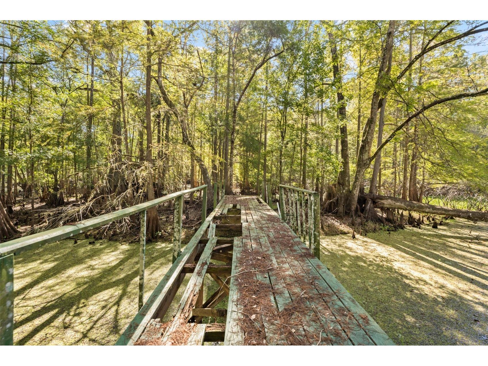 10750 E Sybil Court Floral City FL 34436 TB8440903 image77