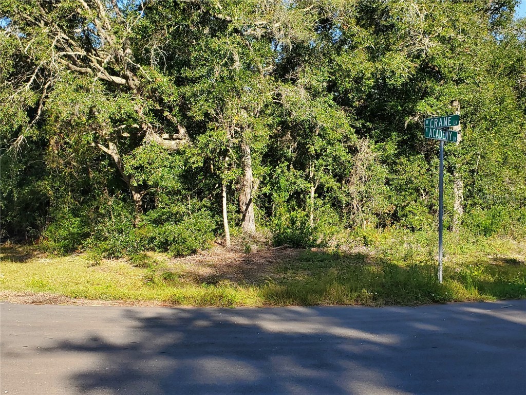 10752 N Academy Drive Citrus Springs FL 34434 W7869247 image1