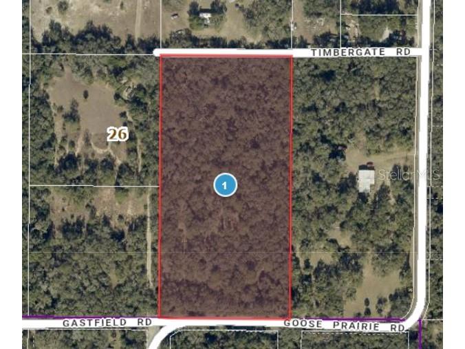 10755 Goose Prairie Road Leesburg FL 34788 - LAKE YALE AND HARRIS CHAIN G5111794 image1