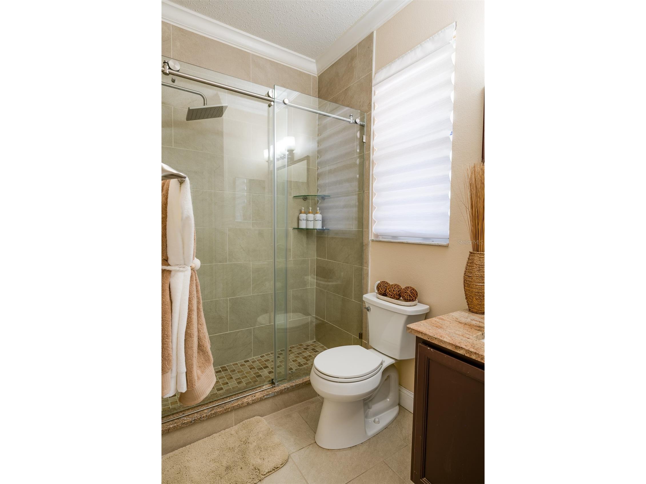 10755 Northridge Court Trinity FL 34655 TB8514091 image36