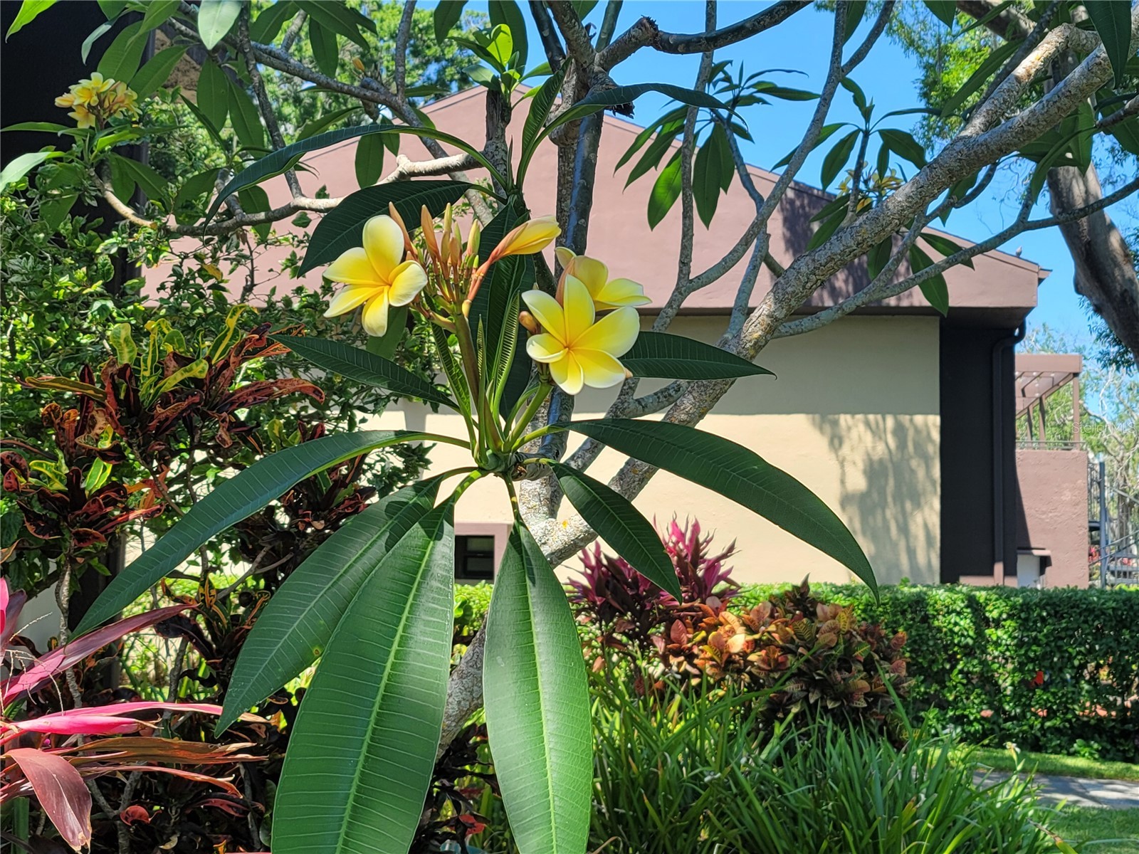 10755 Village Club Circle N #101 Saint Petersburg FL 33716 TB8497993 image30