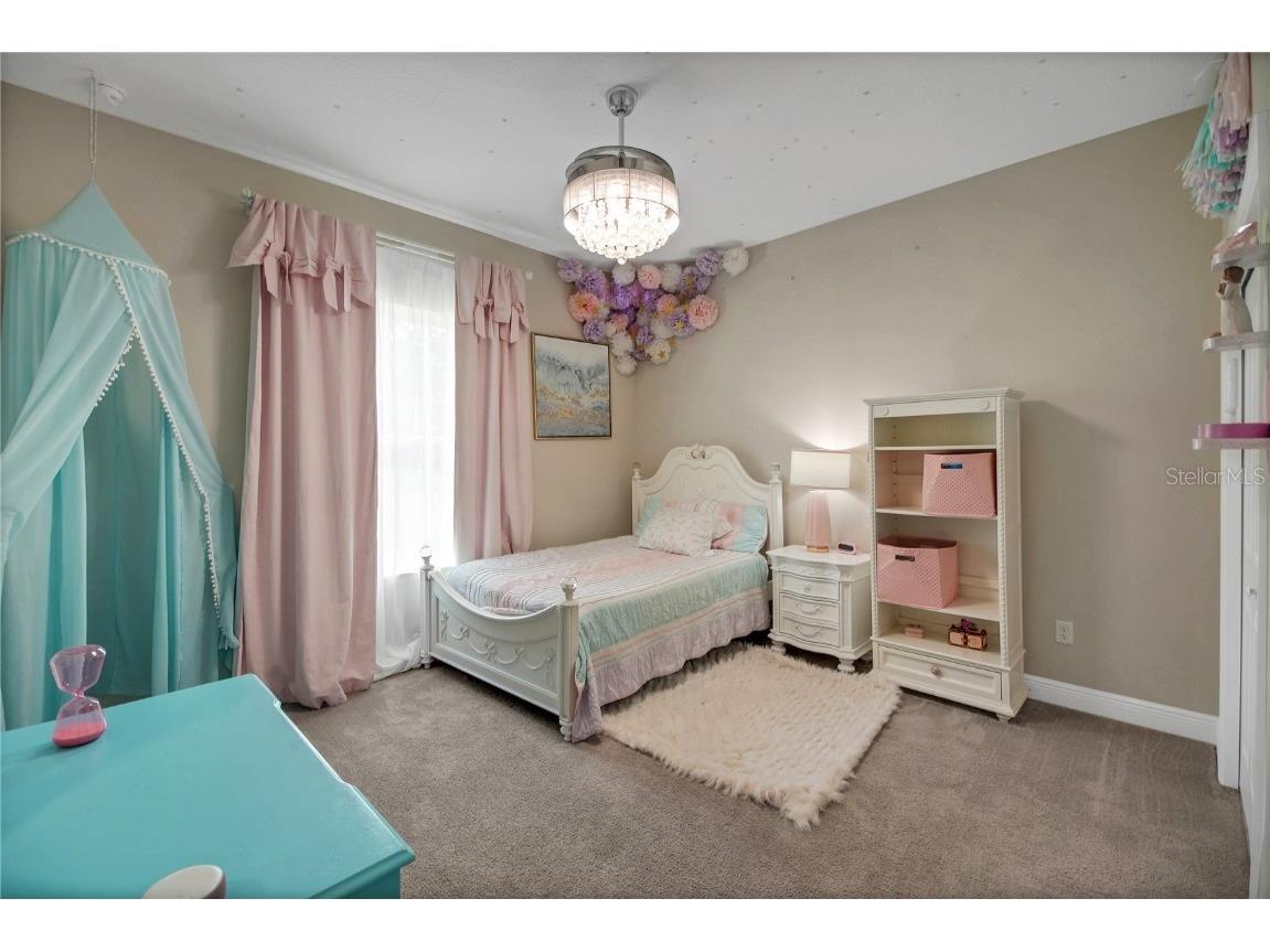 10757 County Road 223 Oxford FL 34484 G5101693 image50