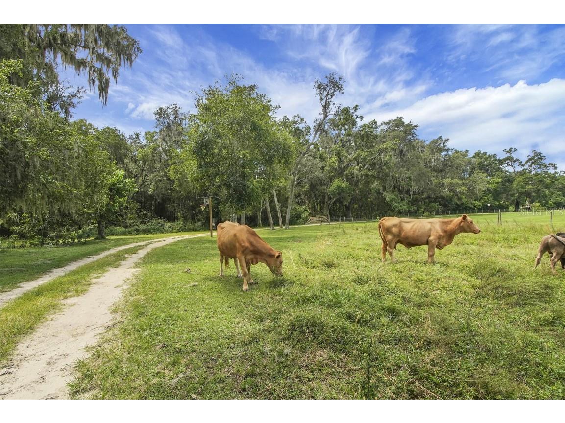 10757 County Road 223 Oxford FL 34484 G5101693 image6