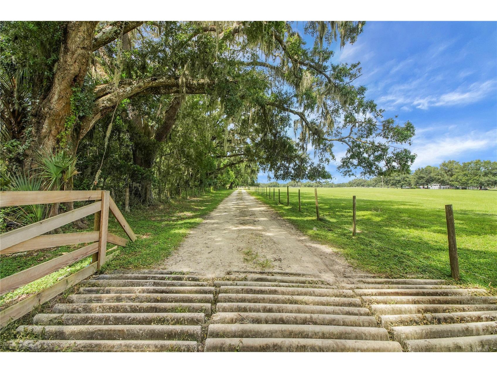 10757 County Road 223 Oxford FL 34484 G5114692 image64