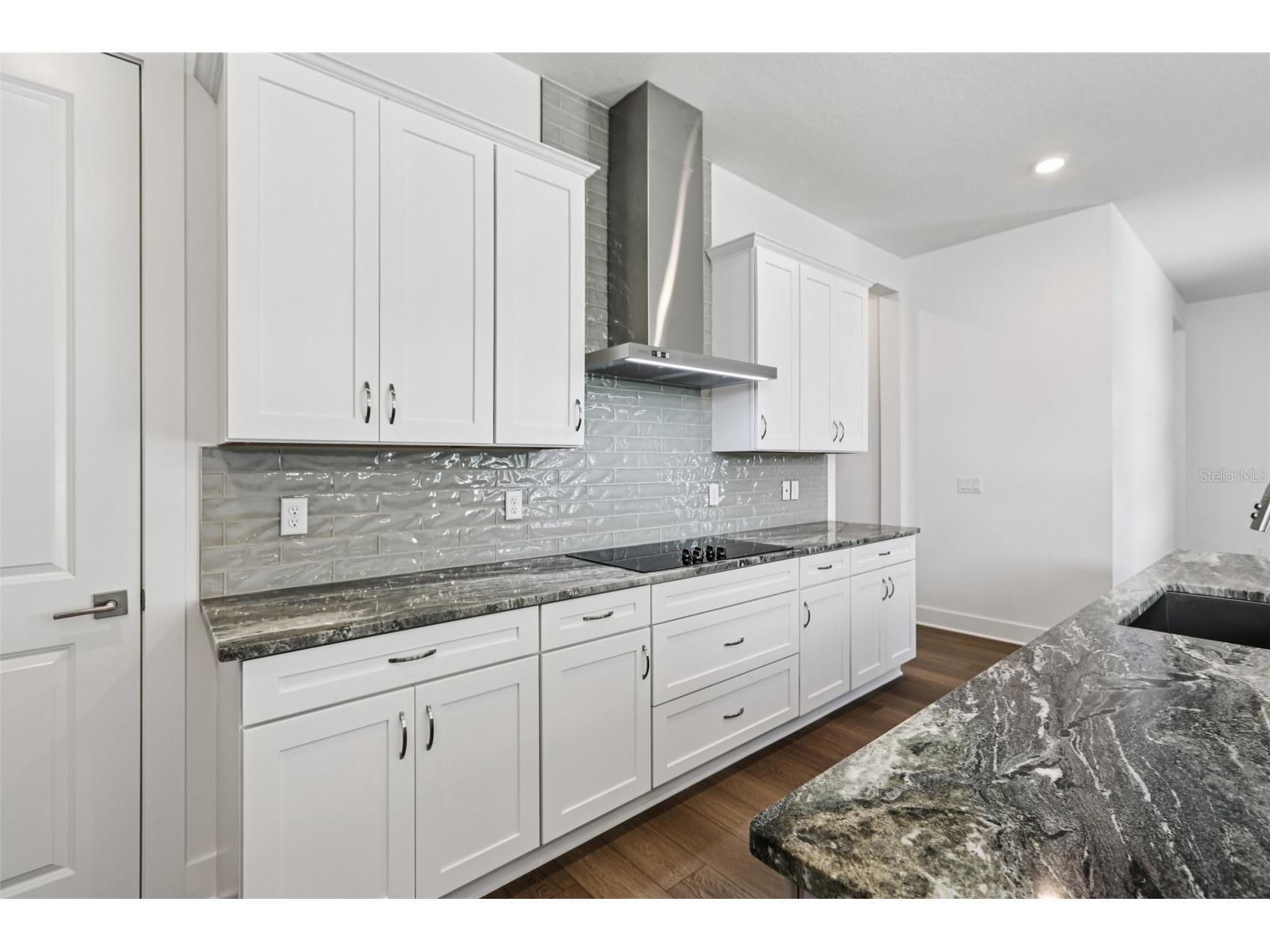 10757 Torchwood Sea Way San Antonio FL 33576 TB8494466 image13