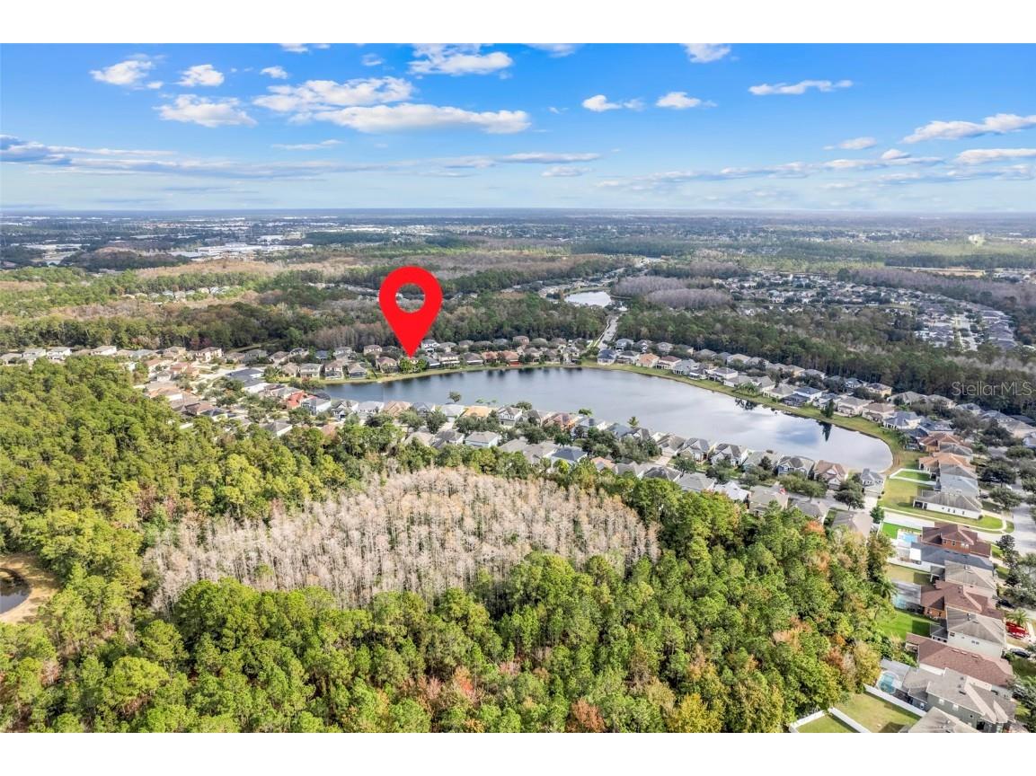 10761 Willow Ridge Loop Orlando FL 32825 O6371987 image13