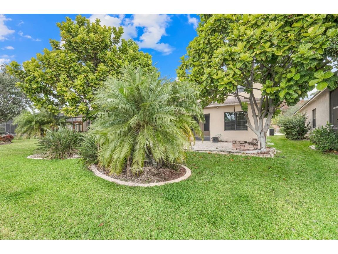 10761 Willow Ridge Loop Orlando FL 32825 O6371987 image60