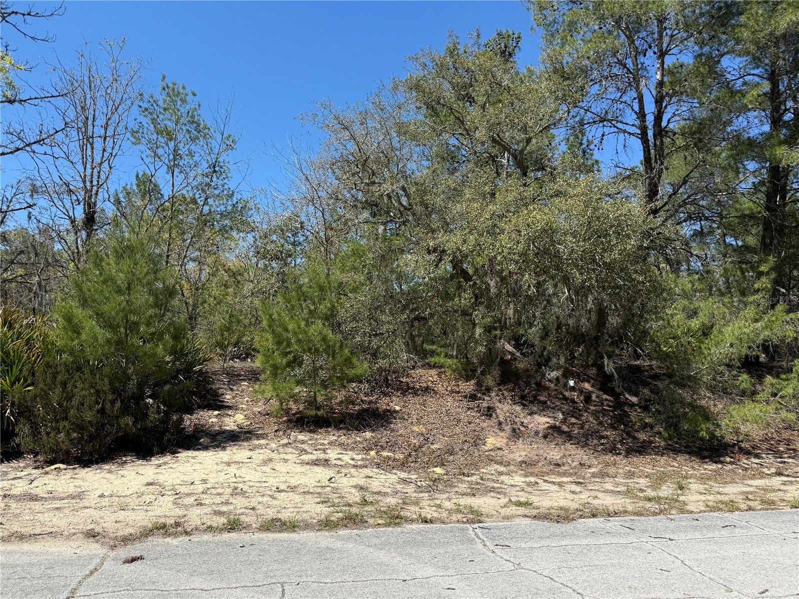 10762 N Moreno Drive Dunnellon FL 34433 OM721199 image2