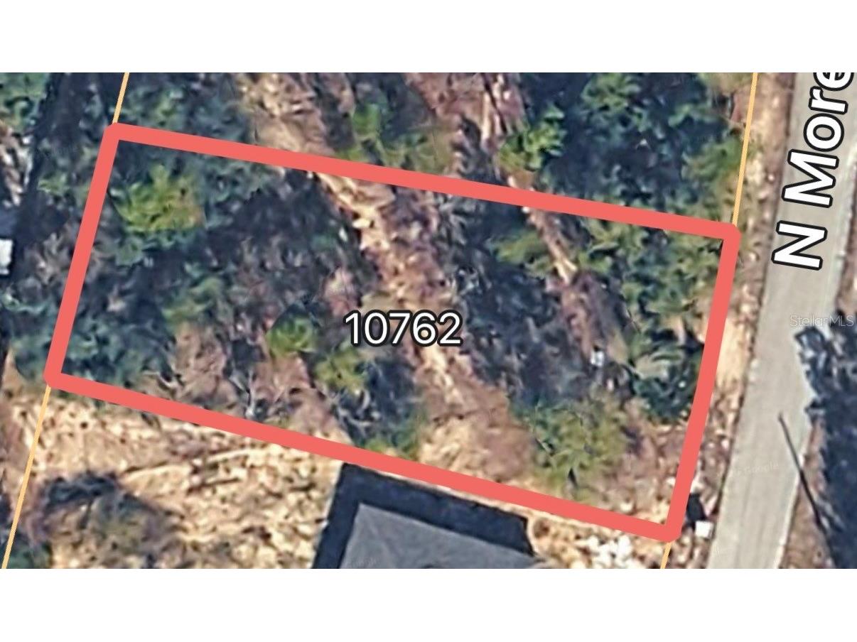 10762 N Moreno Drive Dunnellon FL 34433 OM721199 image3