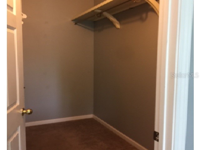 10764 70th Avenue #1102 Seminole FL 33772 U8006609 image13