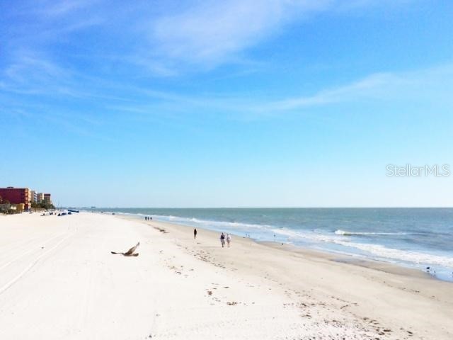 10764 70th Avenue #1102 Seminole FL 33772 U8006609 image24