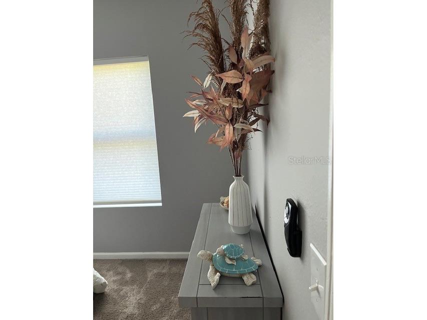 10764 70th Avenue #1106 Seminole FL 33772 TB8460704 image11