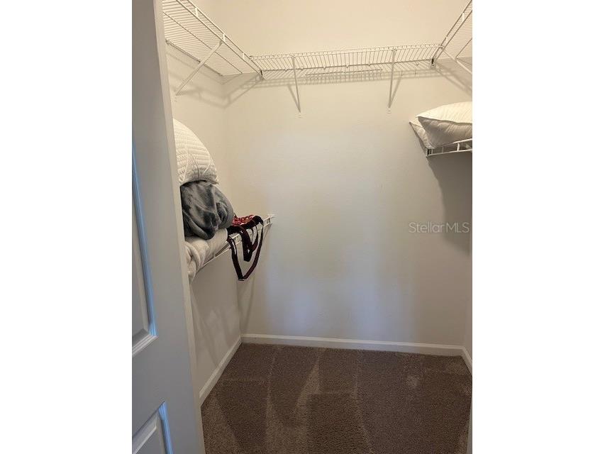 10764 70th Avenue #1106 Seminole FL 33772 TB8460704 image21