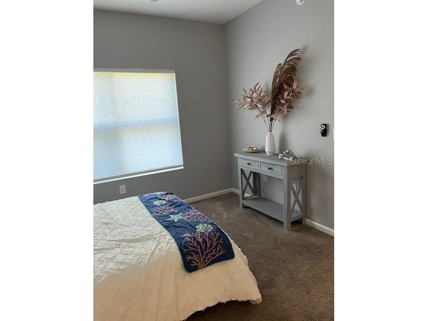 10764 70th Avenue #1106 Seminole FL 33772 TB8460704 image7