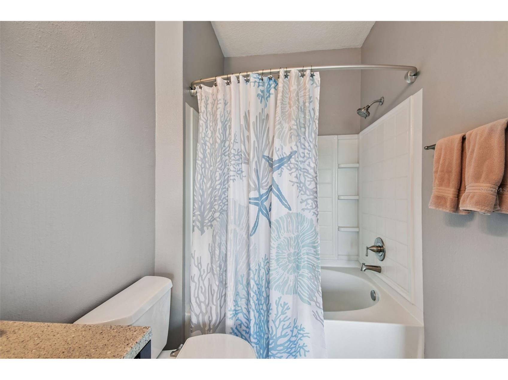 10764 70th Avenue #1306 Seminole FL 33772 TB8494638 image38